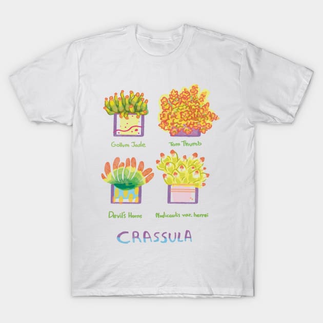 Four Crassula succulents T-Shirt by KO-of-the-self